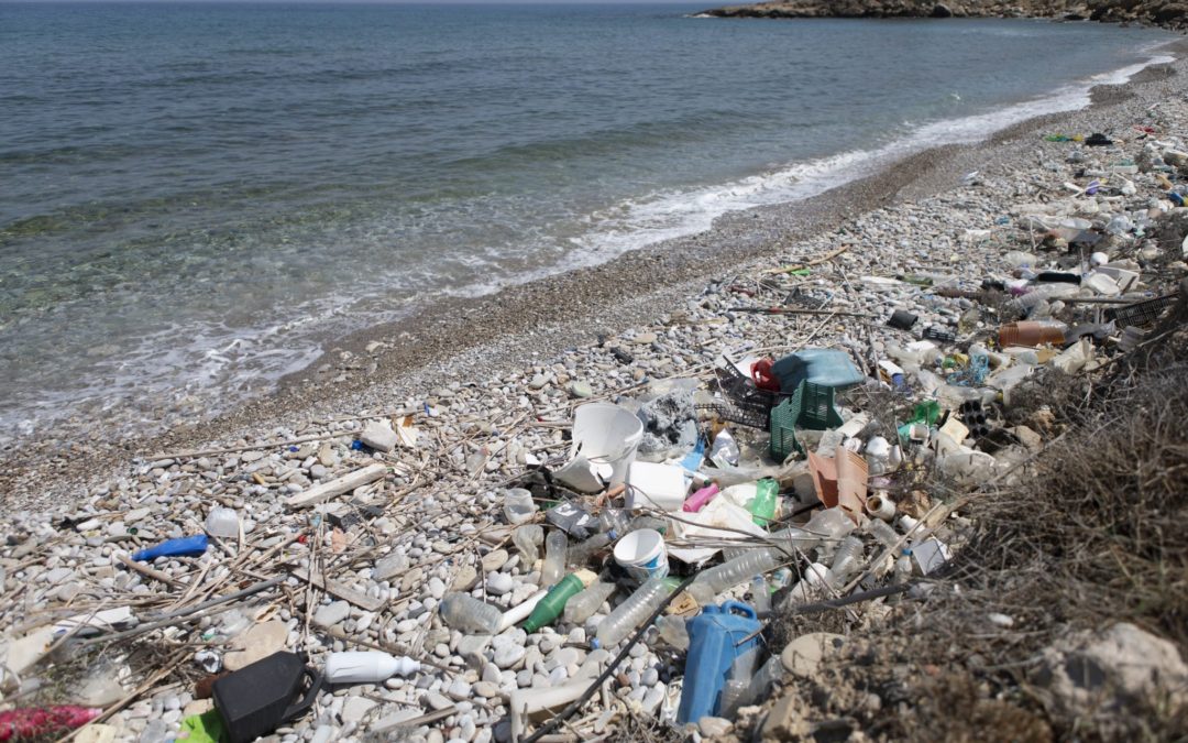MarLitCy: Marine Litter for Synergies, Capacity-building and Peacebuilding
