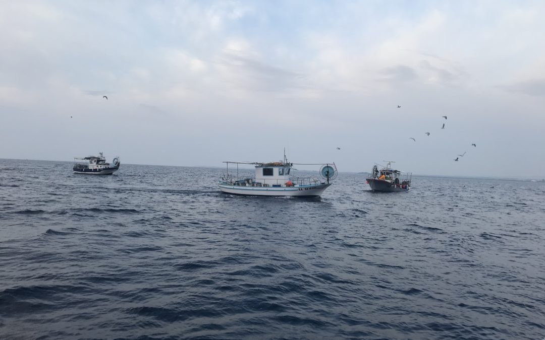 Το όραμα για την Κυπριακή θαλάσσια αλιεία μέσα από τη Γαλάζια Οικονομία