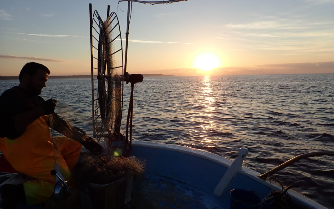 Προβλήματα στον τομέα της Κυπριακής αλιείας και εισηγήσεις για μια βιώσιμη ανάπτυξη