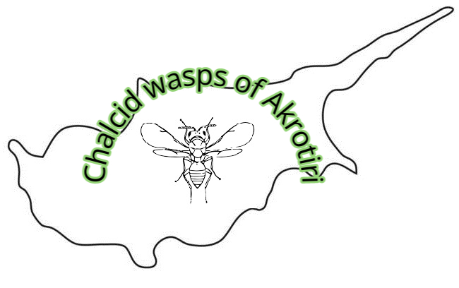 Species richness and biological invasions of Chalcid wasps in Akrotiri Peninsula