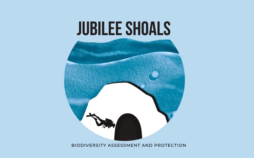 Assessing and protecting marine biodiversity (Jubilee Shoals, SBAA Akrotiri, Cyprus)