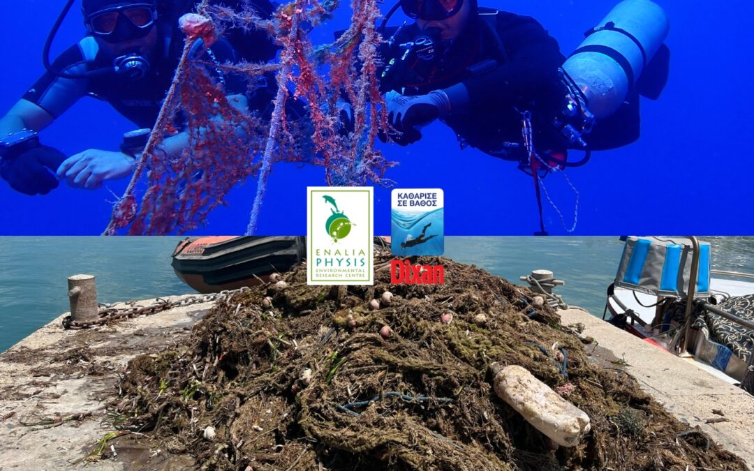 Dixan και Ενάλια Φύσις ανασύρουν 800 κιλά παρατημένων αλιευτικών διχτυών από το Κάβο Γκρέκο