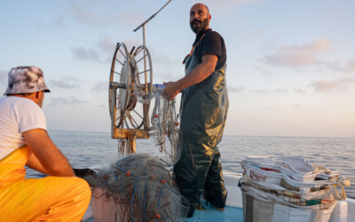 A Joint Call to Action for Cyprus’ Small-Scale Fisheries