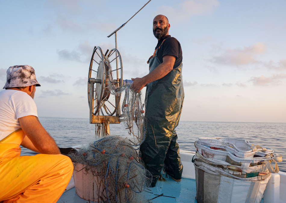 A Joint Call to Action for Cyprus’ Small-Scale Fisheries