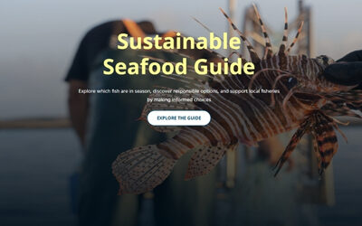New website: Seafood guide CY