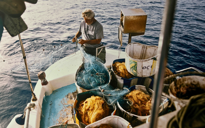 Hold the Line Cyprus: Building Resilience and Fair Access for the Next Generation of Cypriot Fisheries
