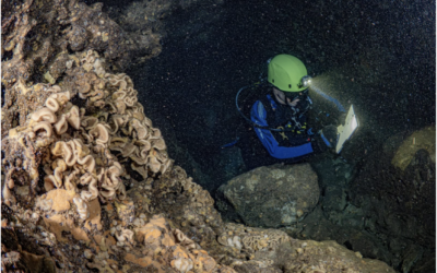 Conserving biodiversity across realms: “Mavrospilios” Cave (SBA Dhekelia, Cyprus)